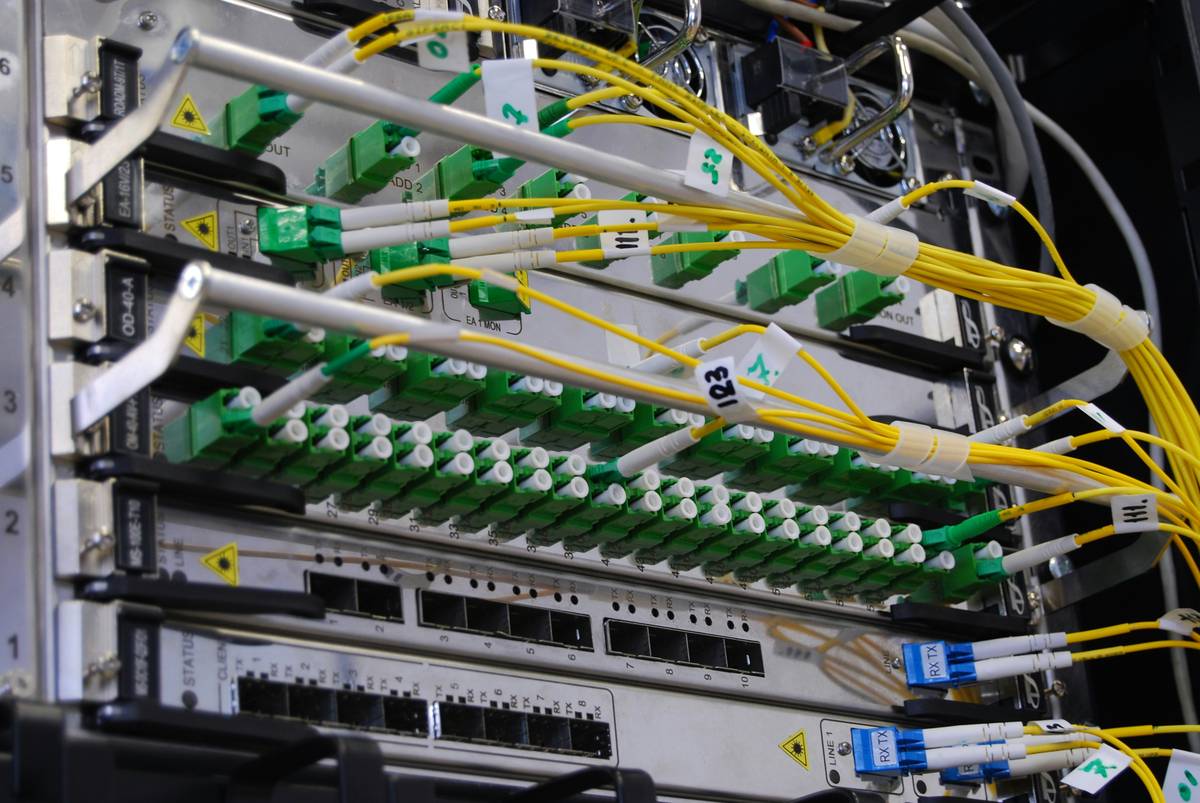 Signal Loss Protection: The Overlooked Shield for Your Mobile Data and Credit Card Security