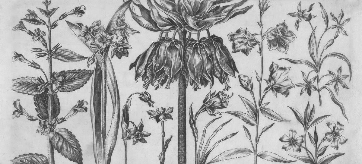 Artist Nicolas Cochin Title Flowers and Battle Scene, from Livre Nouveau de Fleurs... Place France (Artist's nationality:) Date 1645 Medium Etching in black on ivory laid paper https://www.artic.edu/artworks/131101/flowers-and-battle-scene-from-livre-nouveau-de-fleurs